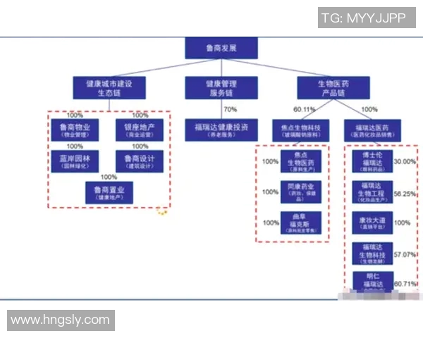 深圳排球队团队协作的独特优势与发展潜力深度解析