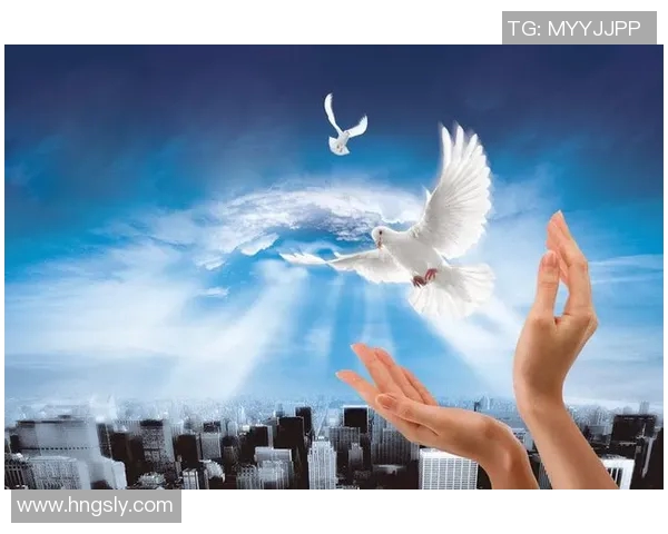 深度对话陈敏的排球人生与梦想追逐的心路历程 深度对话陈敏的排球人生与梦想追逐的心路历程