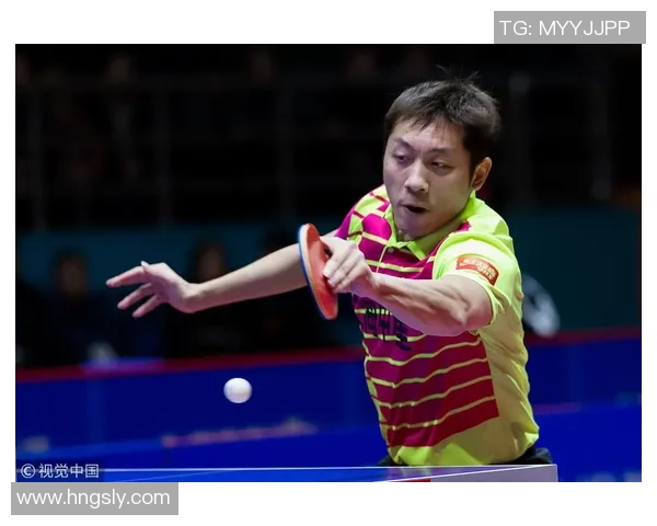 南京羽毛球队以88分稳居精英赛积分榜首位展现强劲实力